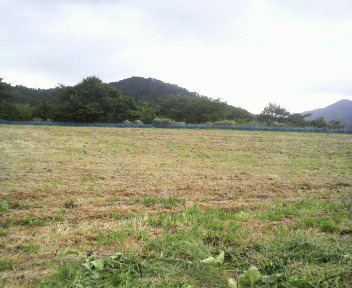 P1000590.jpg