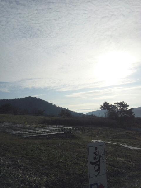 20130121_104230.jpg