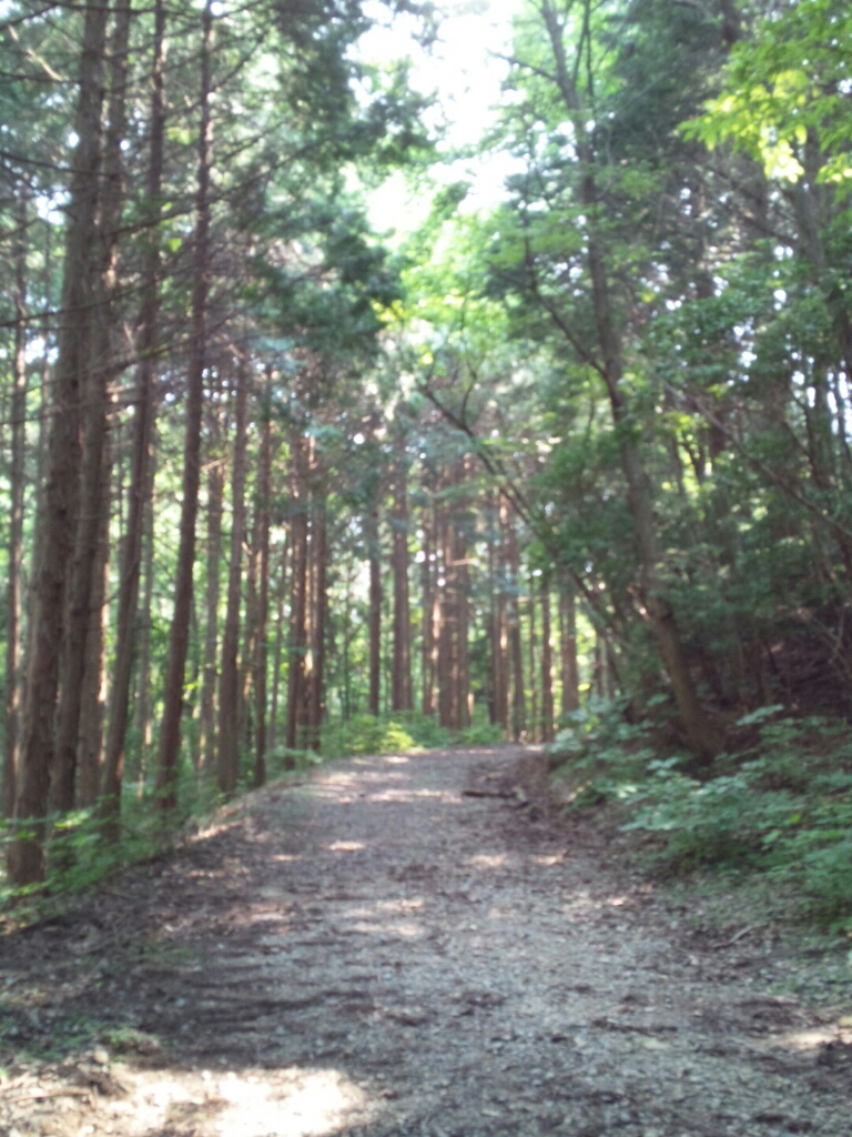 CYMERA_20130810_143132.jpg
