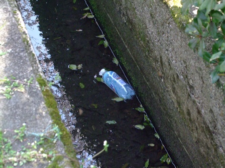DSCF9209.JPG