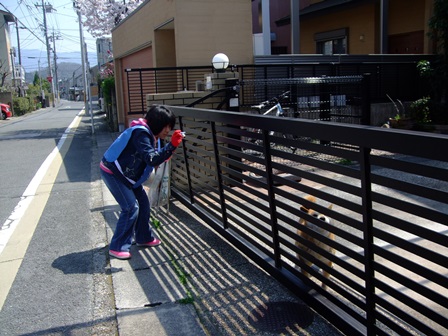 DSCF9277.JPG