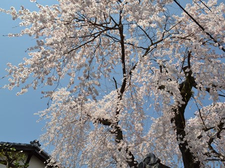 DSC_0116.JPG