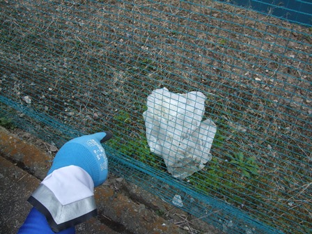 DSCF0762.JPG