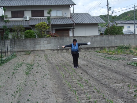 DSCF0928.JPG
