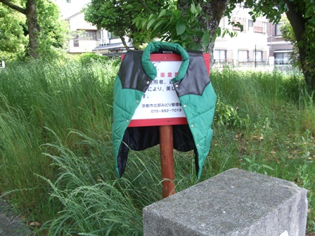 DSCF0948.JPG