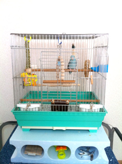 まだ怖いの。