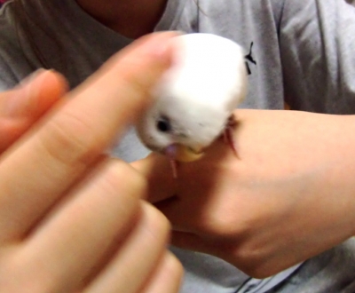 カキカキ気持ちいい〜