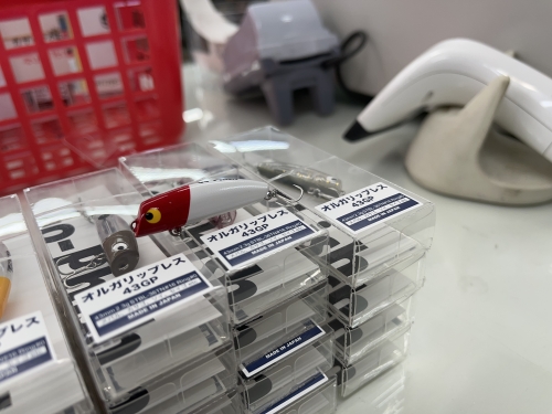 入荷情報 | プロショップカサハラ ブログ 入荷情報 | プロショップカサハラ ブログ