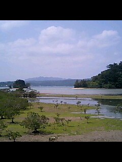 080401_1219~0001-0001.jpg