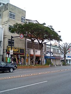 080331_1612~0001.jpg