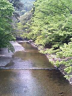 080428_1139~0001.jpg
