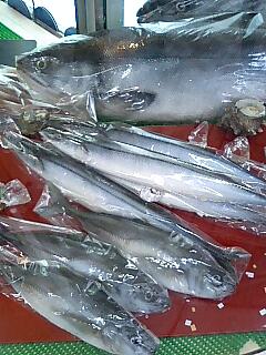 080928_1052~0001.jpg