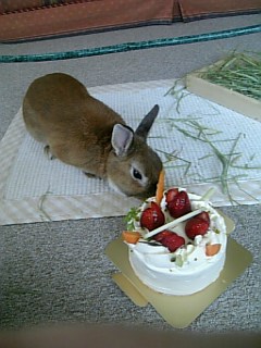20060319_130709.jpg