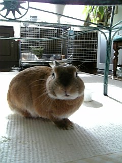 20070104_282602.jpg