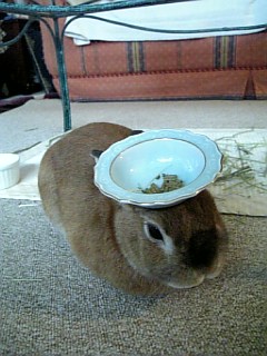 20070222_304629.jpg
