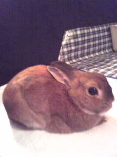 20070514_347022.jpg