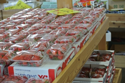 ほとめき市場