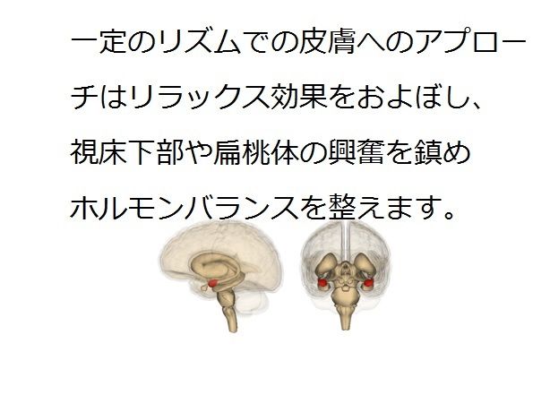 ストレスを緩和して、ホルモンバランスを正す要因の1つになります