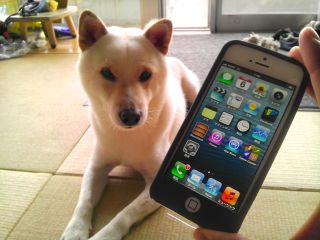 iPhone5