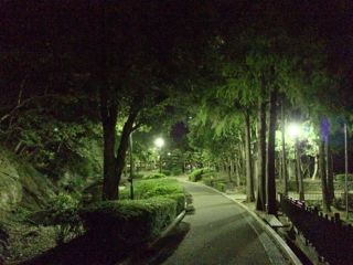 城山公園-2