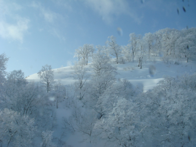 田代の樹氷
