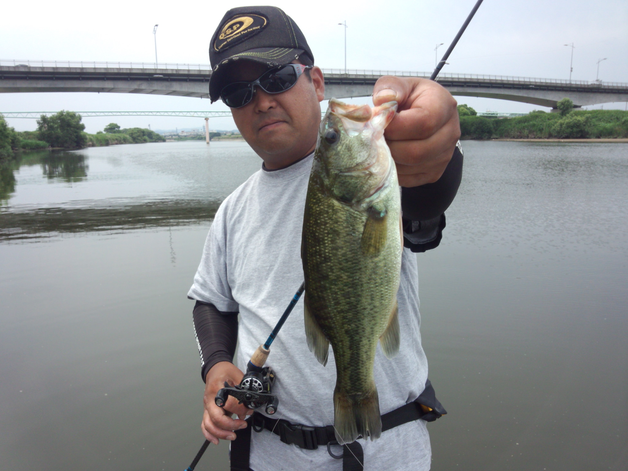 IMG_20140630_111444.jpg