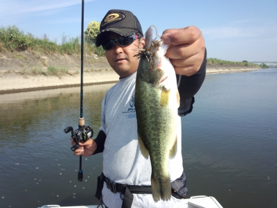 IMG_20140630_082853.jpg