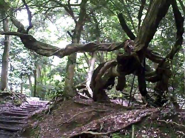 VID00578_001.jpg