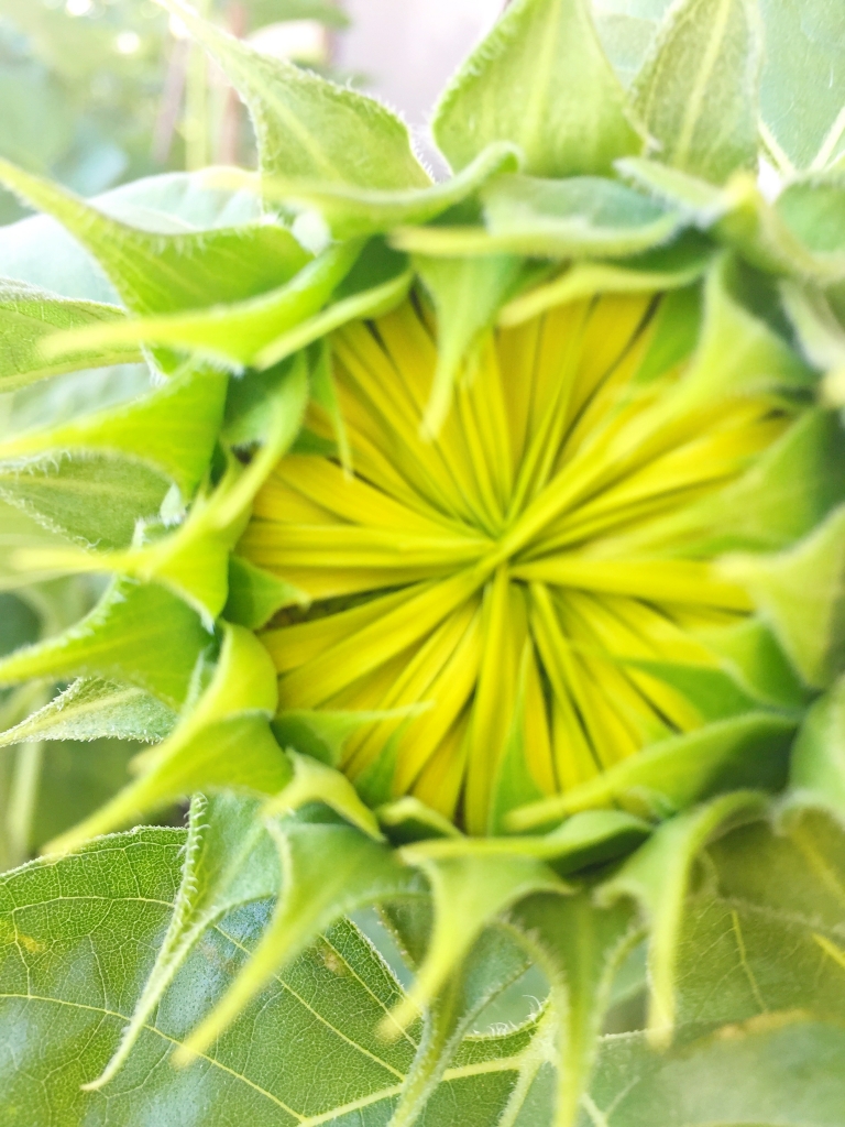 神奈川県茅ヶ崎市カウンセリング セラピーサロン