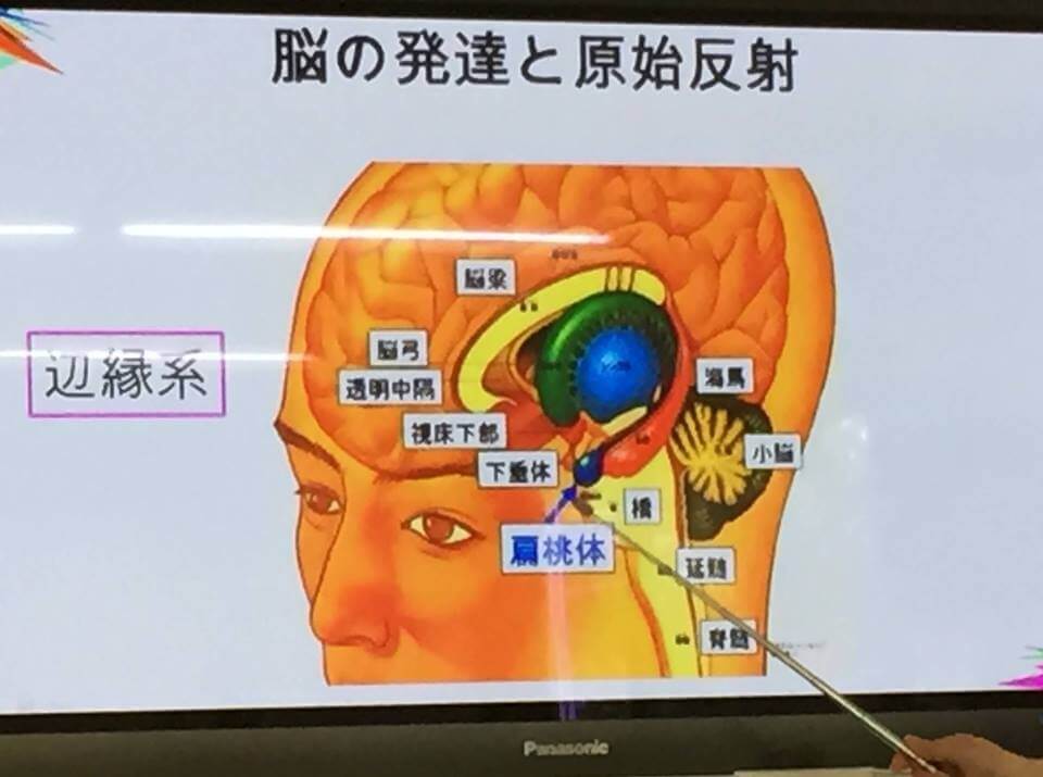 原始反射 キネシオロジー