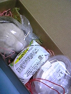 081218_231608.jpg