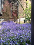 四条法律事務所 若宮 ベロニカ