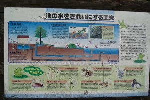 洗足池