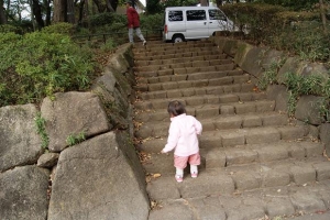 洗足池