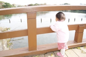 洗足池