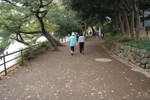 洗足池