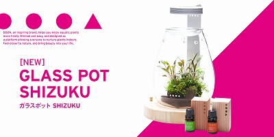 ADA DOOA ガラスポットSHIZUKU DOOA GLASS POT SHIZUKU – Aqua Forest Aquarium