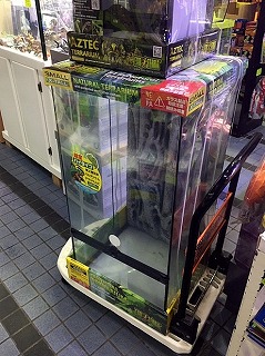 限定生産 グラステラリウム入荷 | エキゾチックアフリカ(淡水)入荷情報