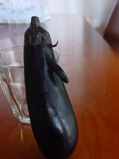 M.aubergine