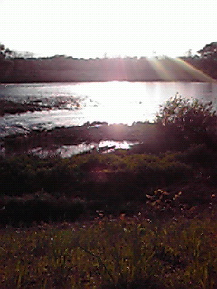 201004291737001.jpg