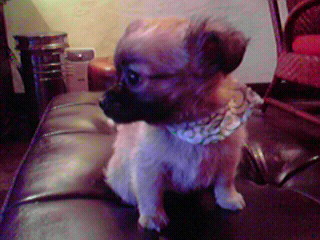 201006151800000.jpg