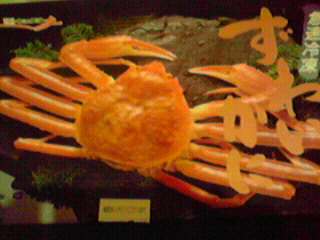 201011232143000.jpg