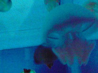 200902011611000.jpg