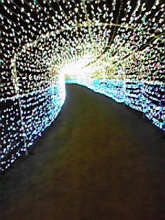 201101071820000.jpg
