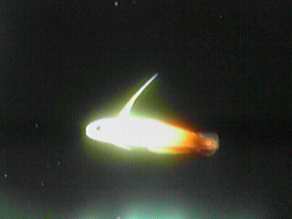 201201051248000.jpg
