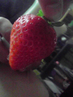 201202291333000.jpg