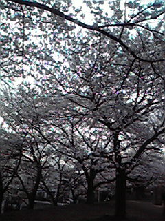 201204121641000.jpg