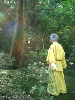 古木っぽい木で荘厳な雰囲気!