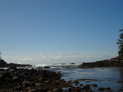Torfino