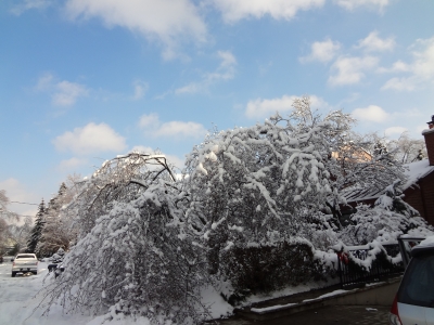 ice storm